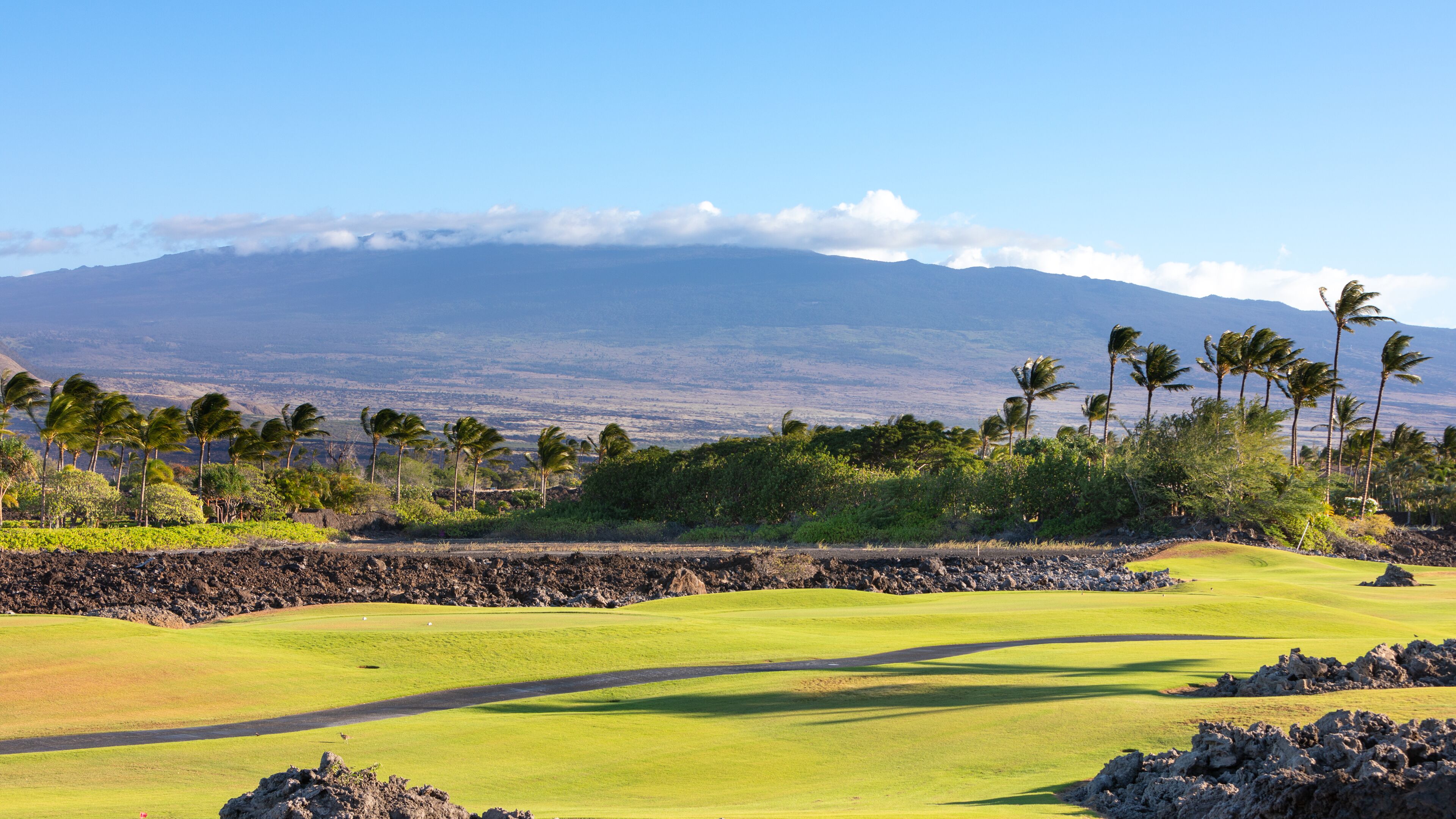 Un campo da golf con vista su una montagna e palme.
