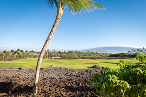 A golf course with a palm tree in the foreground and a clear view of the landscape.