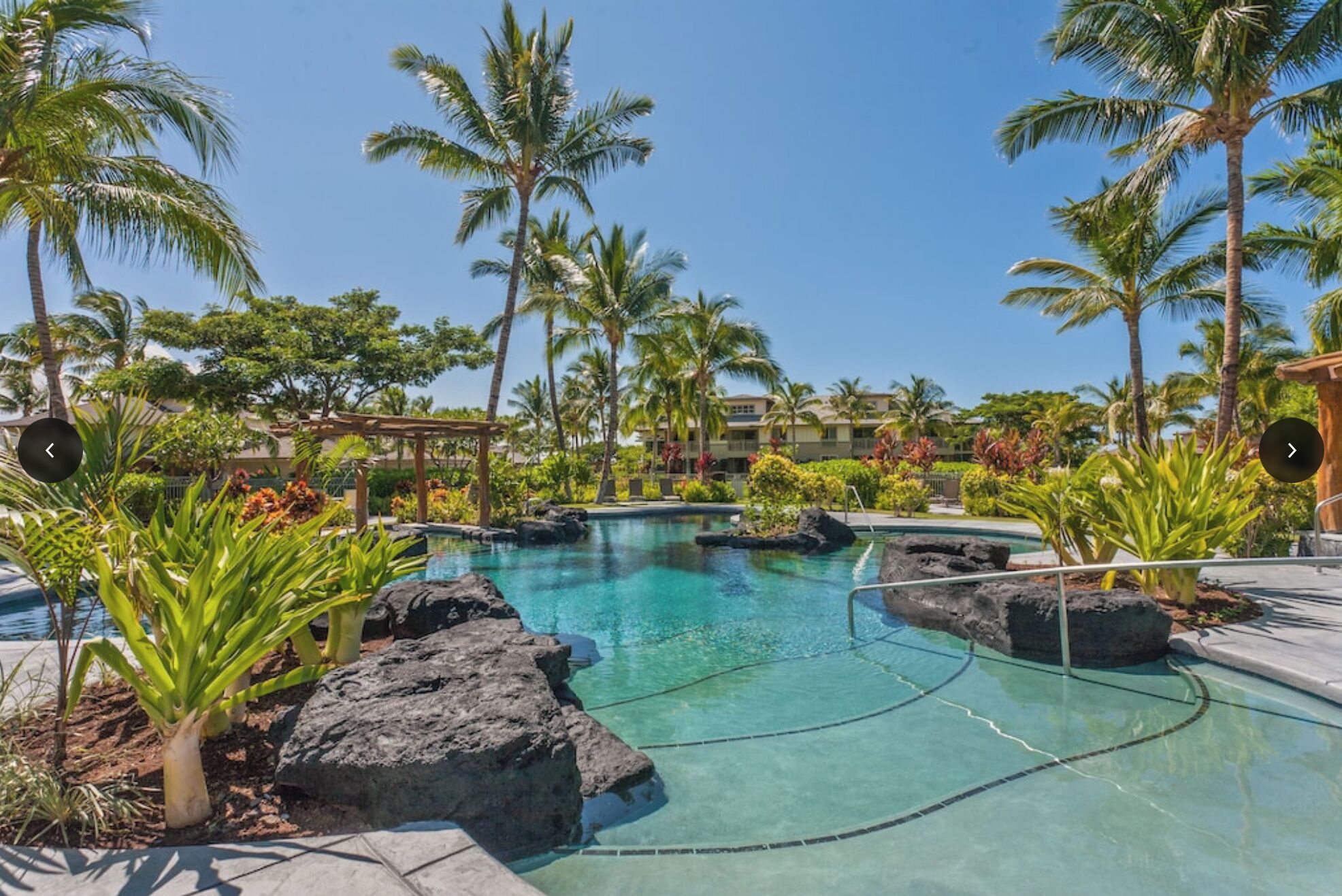A resort pool with clear water, surrounded by palm trees and tropical plants.