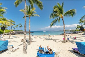 A beach with palm trees, lounge chairs, and a clear view of the ocean.