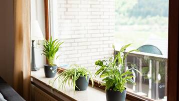 Uitzicht vanuit accommodatie