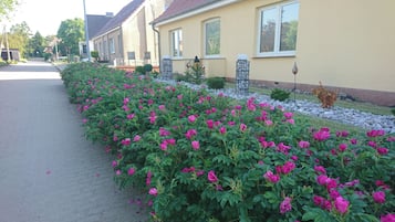 Overnatningsstedets område