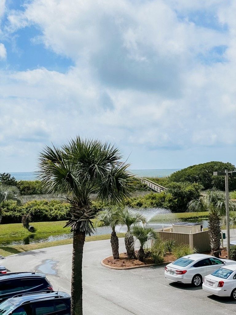 A parking area with cars, a palm tree, and a view of the ocean.