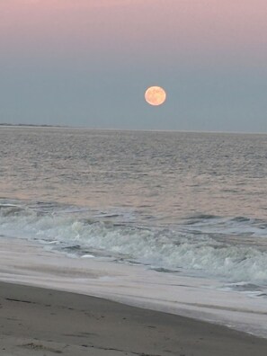 Sun-loungers, beach towels - Sister Bay Waterfront
2BR/2BA
Ground level porch, lawn, pier, waterfront (Sister Bay)