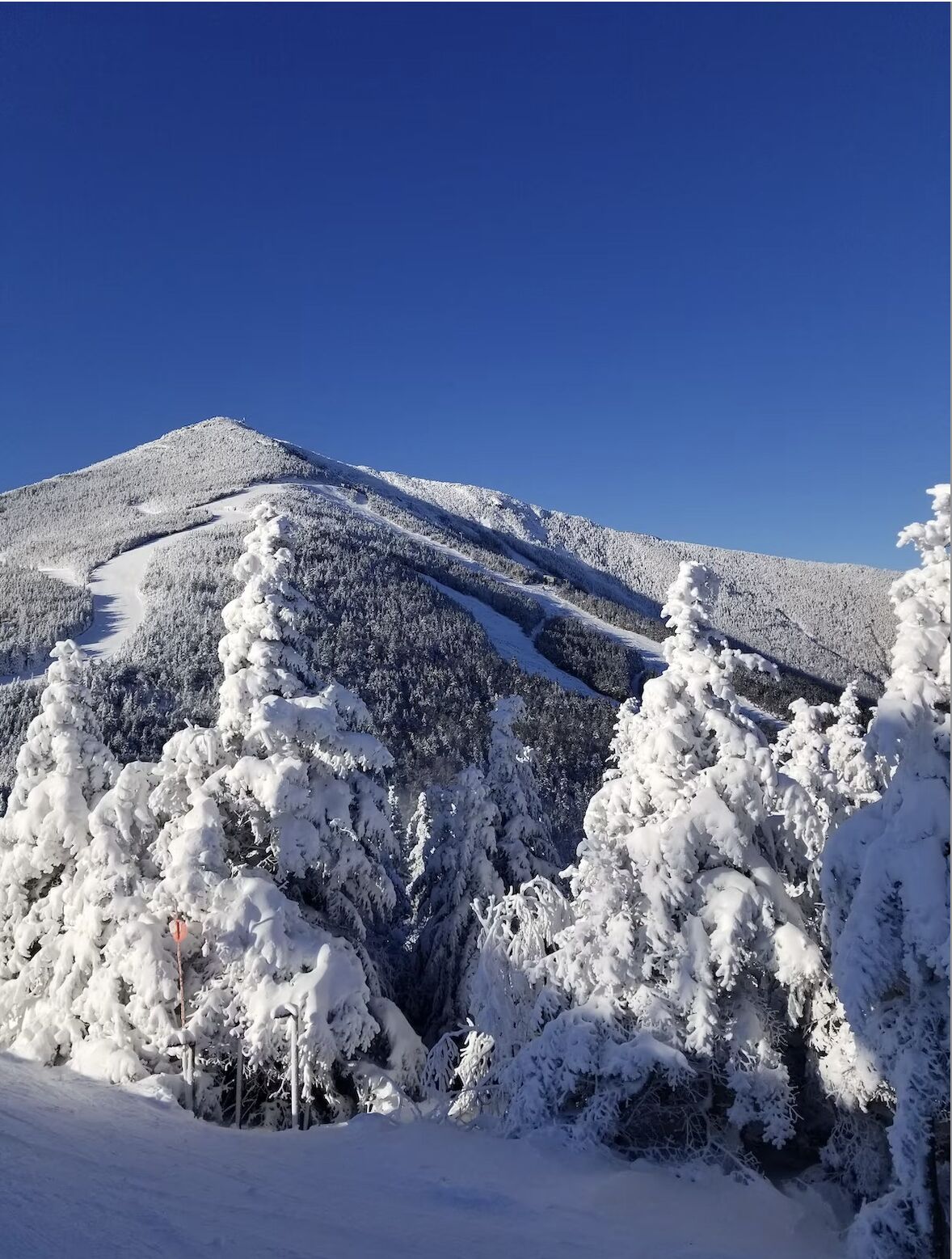 15+ Camp Bird Rd Colorado