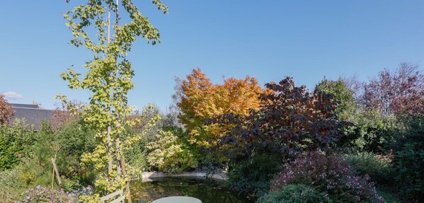Ein Garten mit Teich, verschiedenen Bäumen und einem Holzzaun.