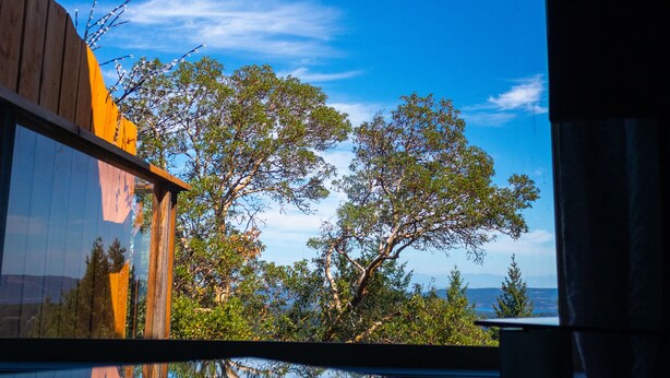 A view through a window with a clear reflection of a tree and sky. - Entire Suite,Ocean,mountain view,jacuzzi in the Suite,next to Mount Maxwell park (Salt Spring Island)