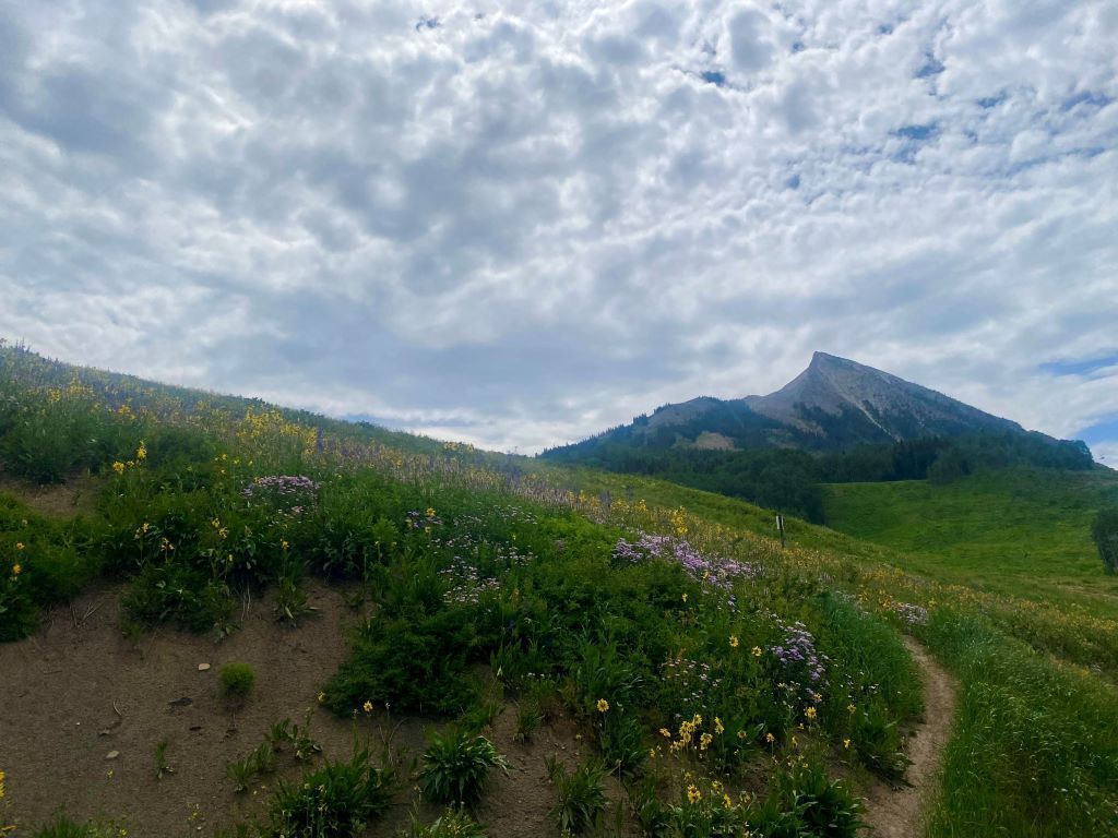 Ski Slope inn - Best Summer Rates EVER! Biking, Hiking, Wildflowers, Hot Tub!
