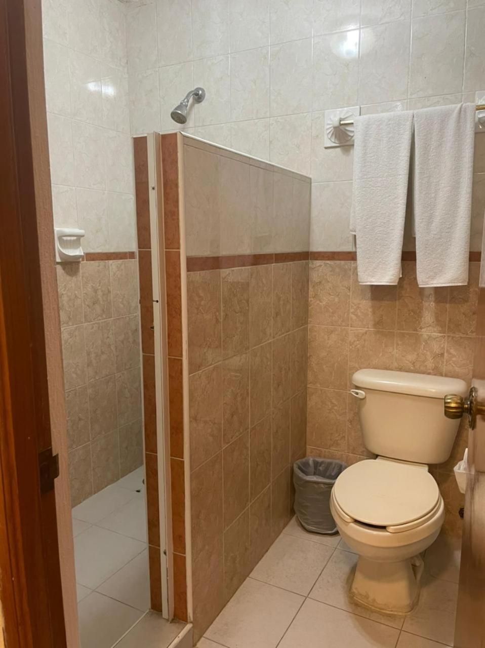 A bathroom with a shower, toilet, and a trash bin.