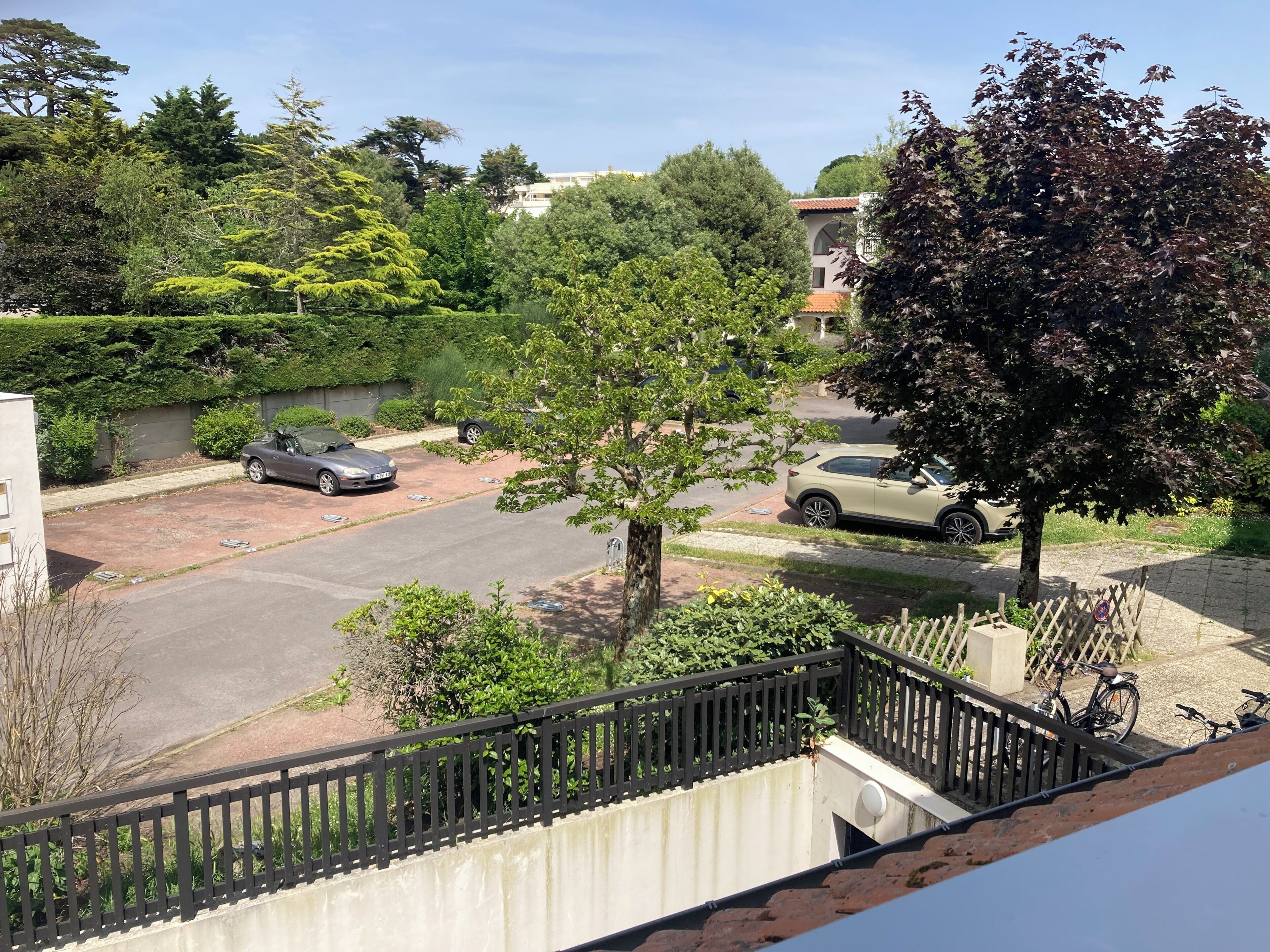 A residential street with parked cars, a tree, and a fence.
