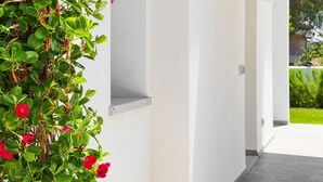 Pared blanca con una planta trepadora y un marco de puerta.