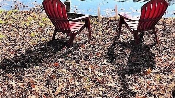 Zwei Adirondack-Stühle, die auf einen See blicken, mit einem Wald im Hintergrund.