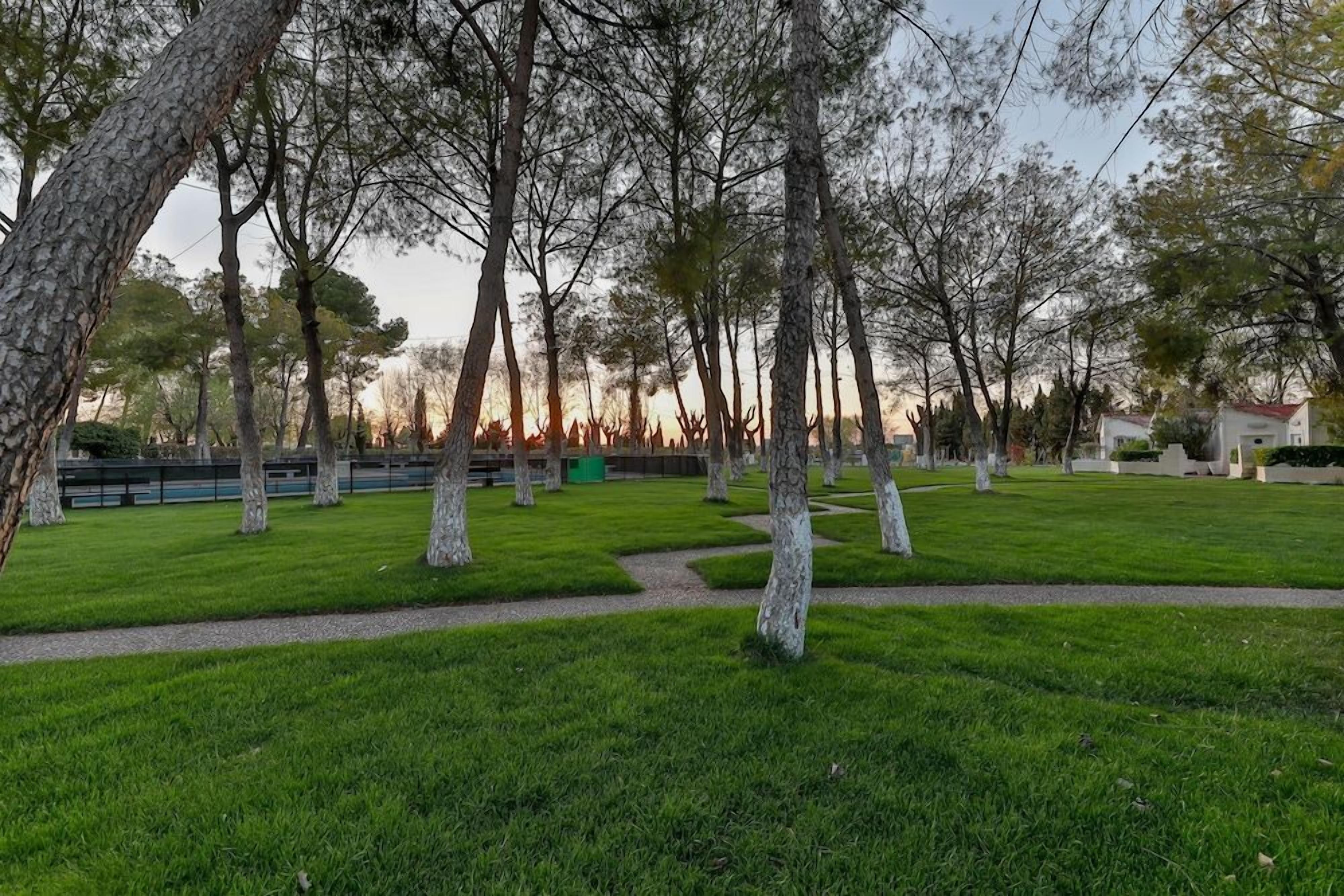 Un parque con un sendero, árboles y una zona con bancos.