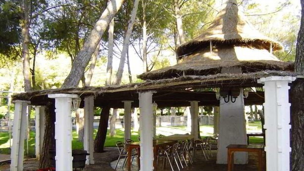 A gazebo with white columns and a thatched roof, surrounded by trees. - El Cruce (Manzanares)