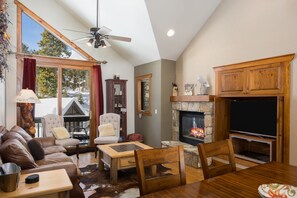 TV, fireplace, books, stereo