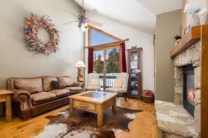 TV, fireplace, books, stereo