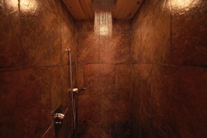 Rainfall showerhead, hair dryer, towels