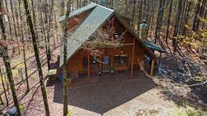 Eine blockhausartige Holzhütte mit geneigtem Dach, umgeben von einem Wald.