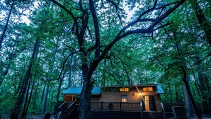 Una baita nella foresta con rivestimento in legno, una veranda e una scala che conduce all'ingresso.