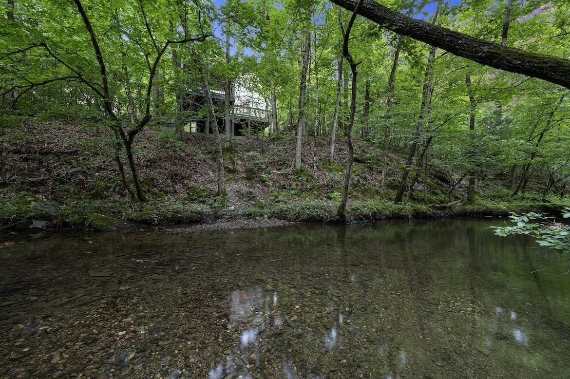 A forested area with a clear stream and a structure partially obscured by trees.