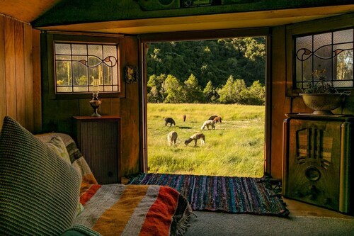 Alpacas Off Grid - House Truck (Spacious/Boutique)