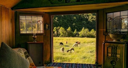 Alpacas Off Grid - House Truck (Spacious/Boutique)