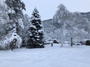 Surrounded by snow-covered evergreen trees and a serene landscape, this peaceful scene offers a tranquil escape.