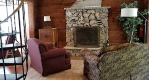 Smart TV, fireplace, DVD player, books