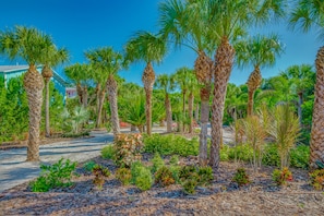 Stroll through this serene garden, surrounded by lush palm trees and tropical plants, along a paved walkway.