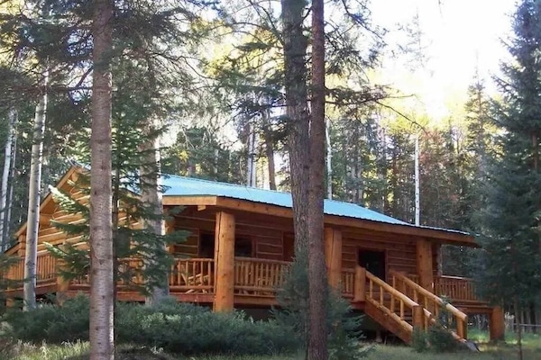 Beautiful log cabin in pine and aspen forest, perfect for getting away