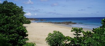 Croton Studio at Sungold House Barbados