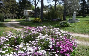 Parco della struttura