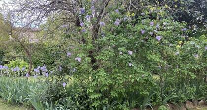 Chez Manou - Rougiers