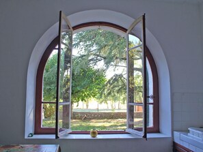 A room with a large arched window overlooking a garden. - BASSEGAT NATURE - FOX AMPHOUX (FOX AMPHOUX)