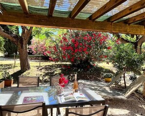 Restauration en plein air