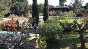 A garden with various trees and shrubs, a paved area, and a building in the background. - Les Roses Rouges - SIX Fours LES Plages (SIX FOURS LES PLAGES)