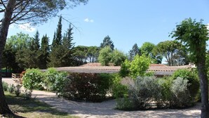 A courtyard with a building featuring a tiled roof, surrounded by various trees and shrubs.