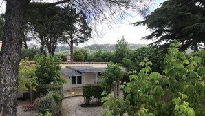 A house with a gravel driveway, surrounded by trees and greenery.