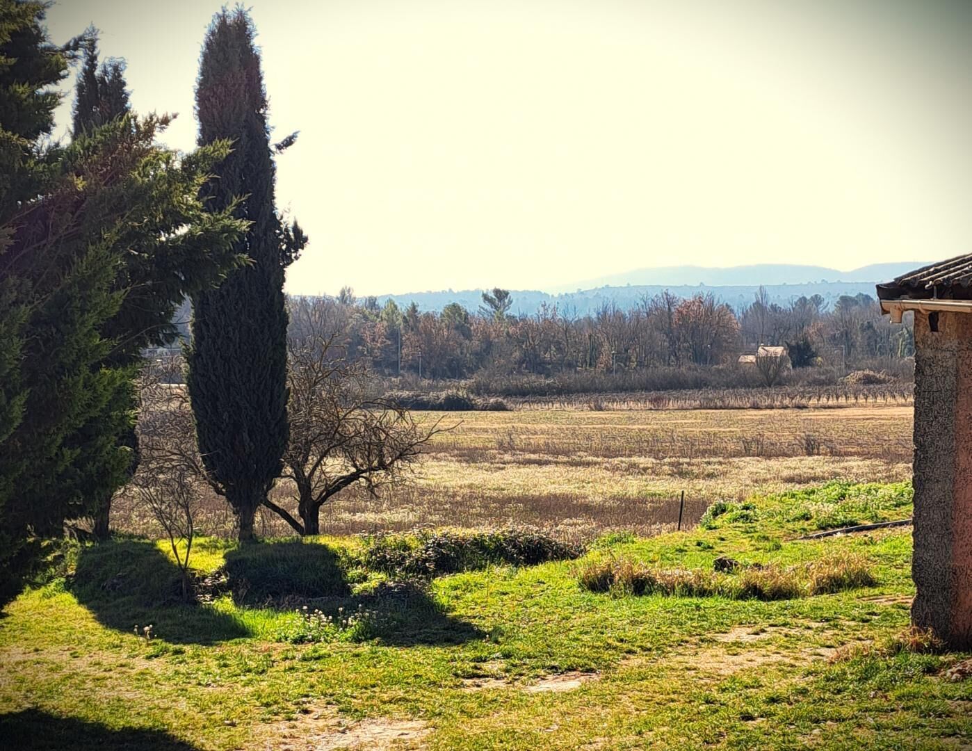 Un paysage rural avec un champ, des arbres et un bâtiment.