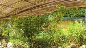 A covered outdoor area with a bamboo roof, surrounded by various plants and rocks.