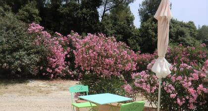 LE Petit MAS - LA Cadiere D'azur