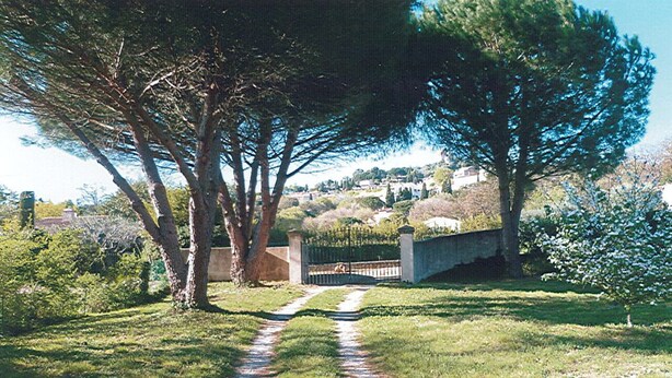 Un sentier qui traverse une zone herbeuse, bordée d’arbres et d’un mur de pierres.