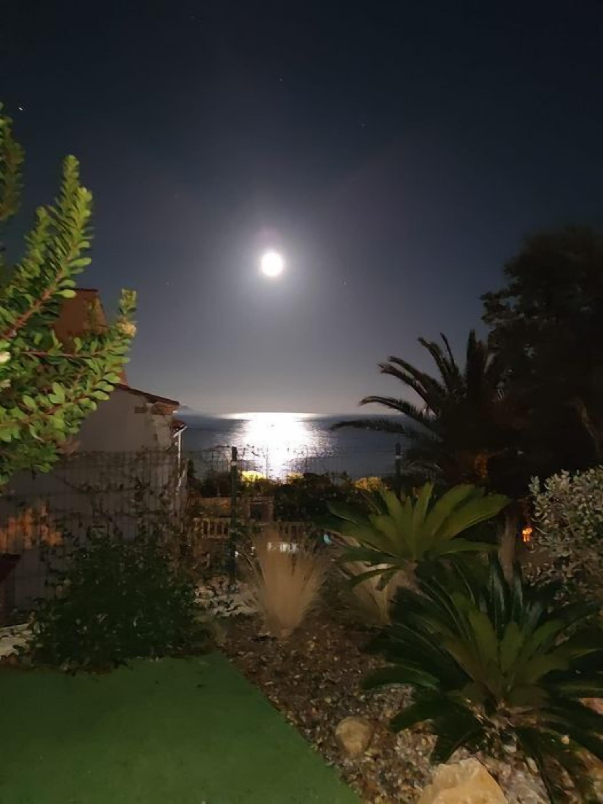 A nighttime view of a garden with a pond, a house, and a mountain in the background.