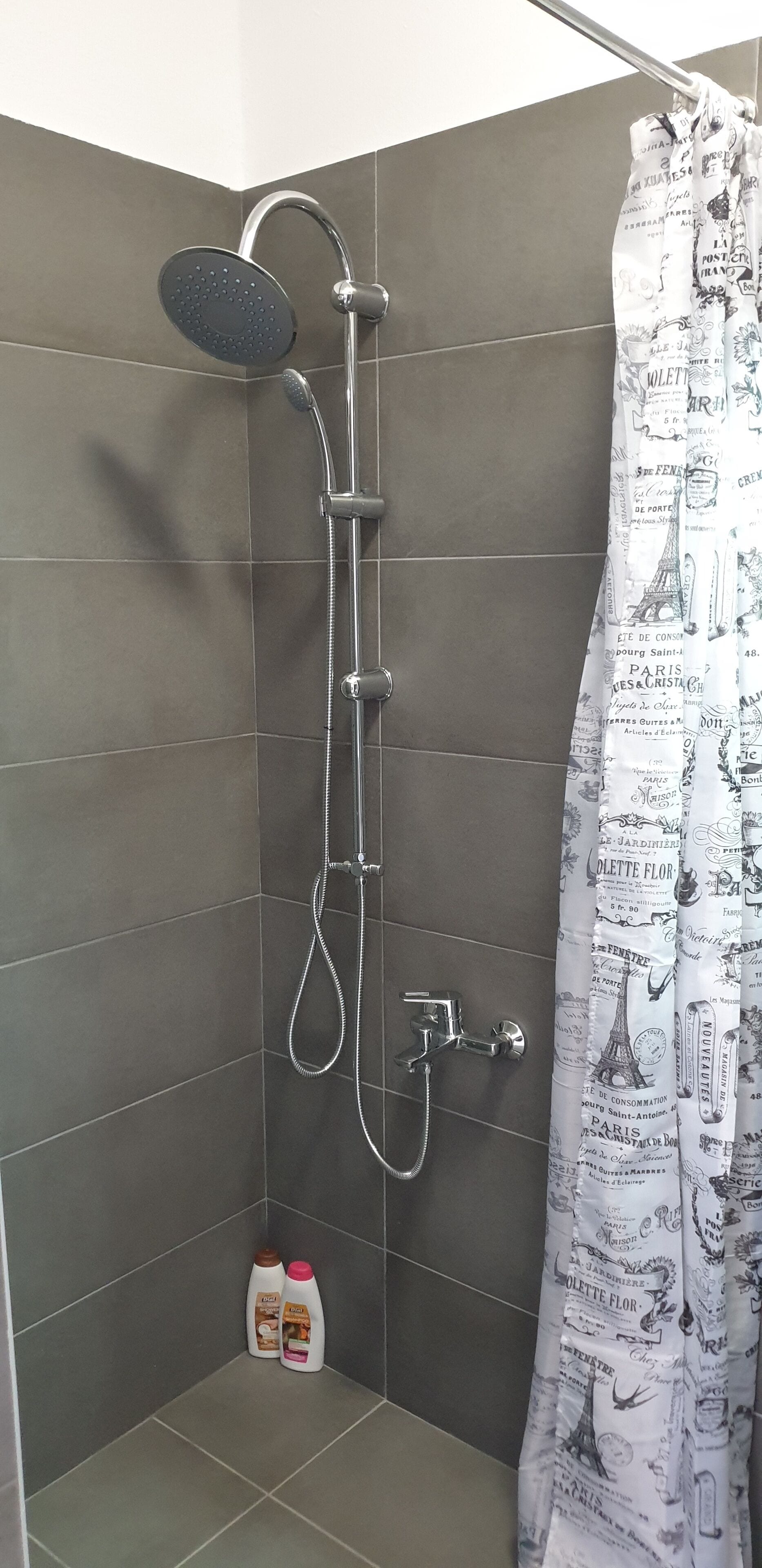 A shower area with a showerhead, handheld shower, and a curtain with Parisian-themed prints.