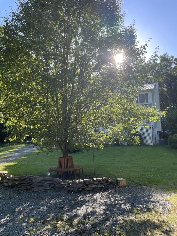 A tree-lined backyard with a stone wall, a wooden bench, and a house in the background.