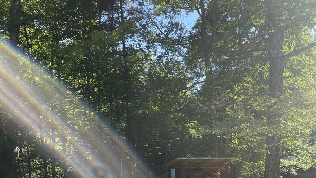 Una zona boscosa con un braciere e poltrone Adirondack.