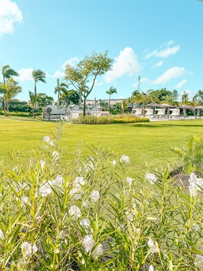 Garden view