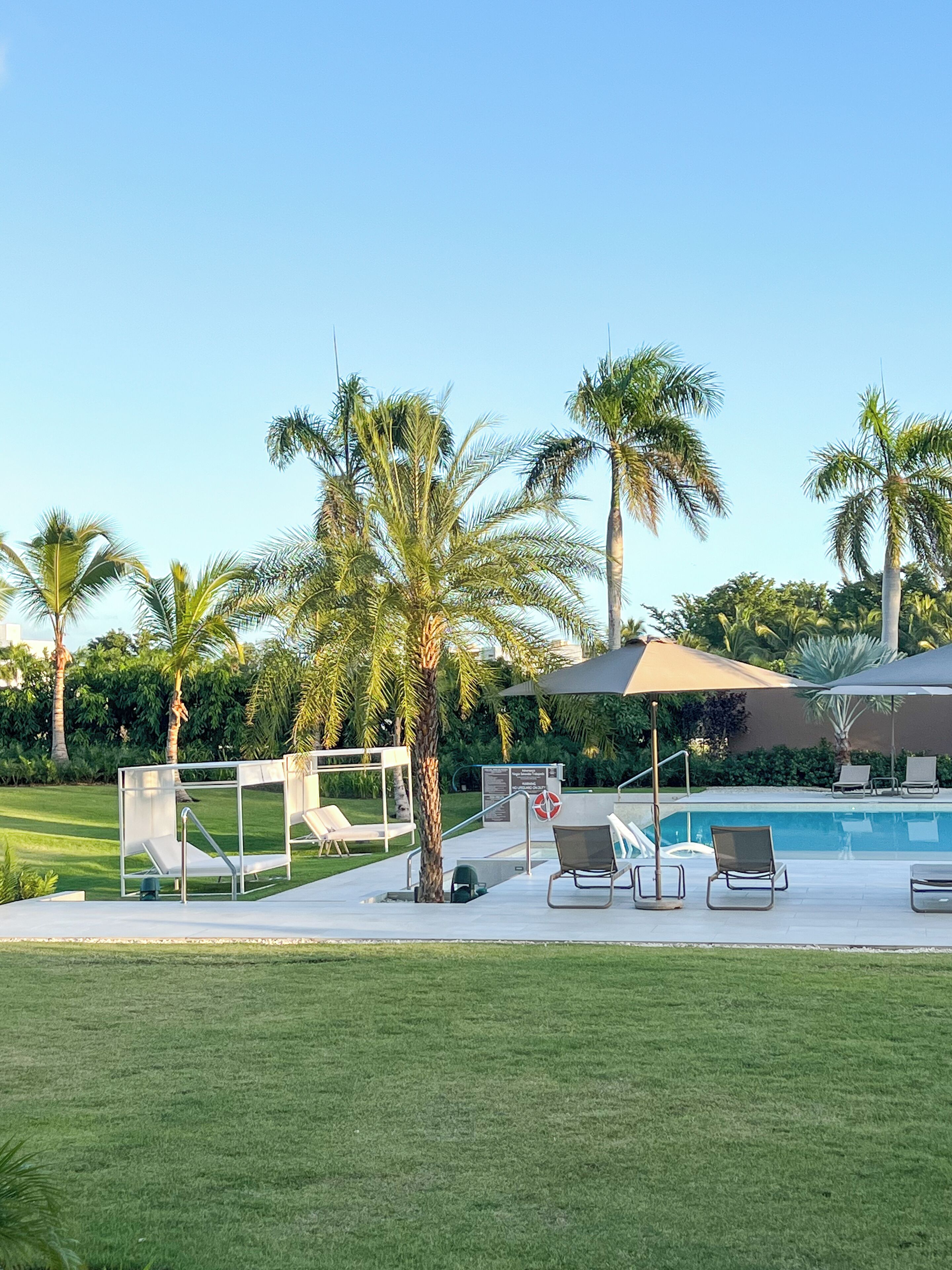 A poolside area with lounge chairs, a pool, palm trees, and a covered seating area.