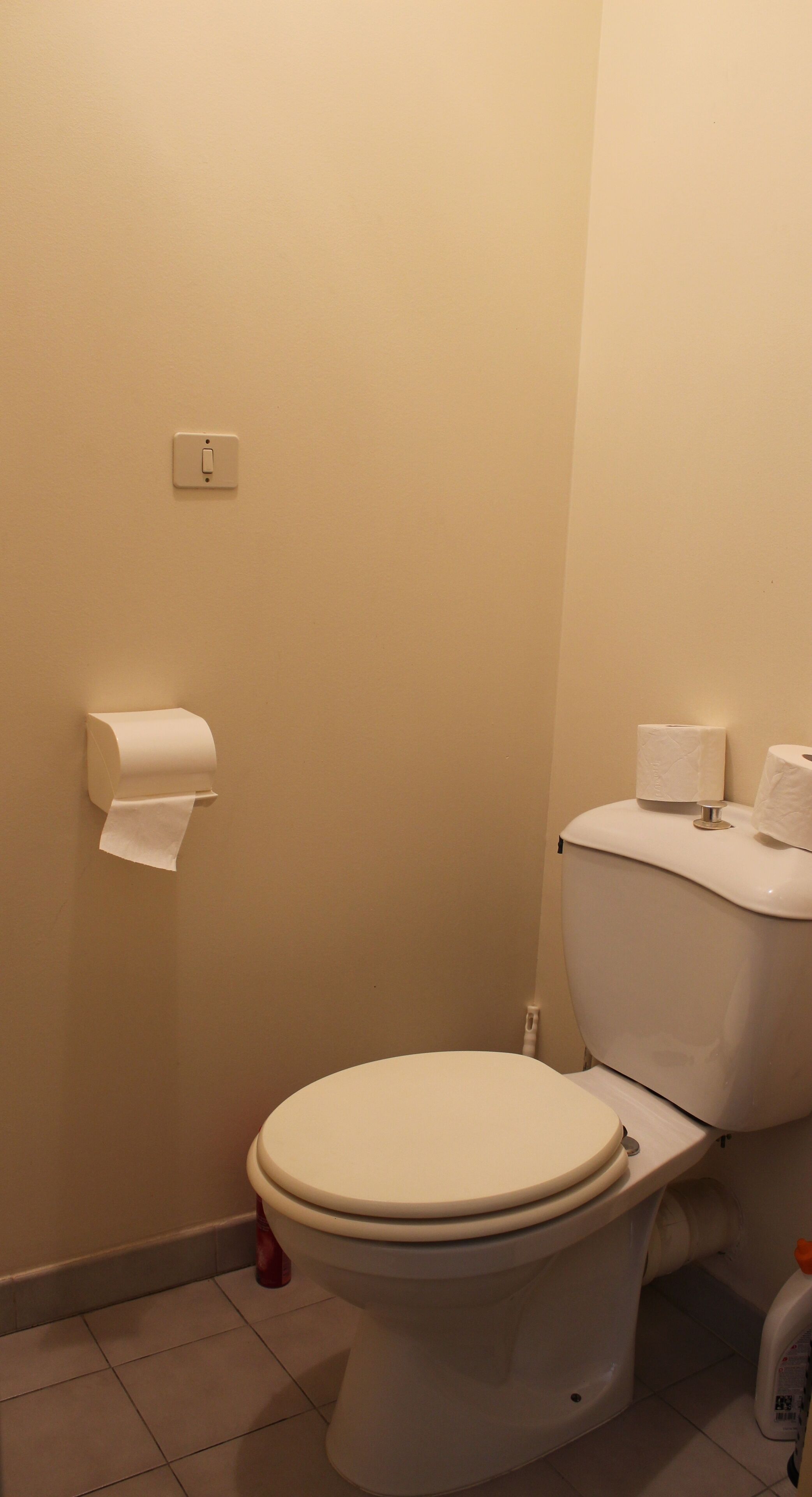 Ein Standardbadezimmer mit Toilette, Toilettenpapierhalter und einer Toilettenpapierrolle.