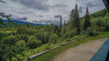 Classic Double Room | Terrace/patio